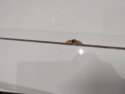 MAS-APM-08255 Grade-BER Marks & Spencer Loxton Gloss 6 Drawer Chest in White RRP £349