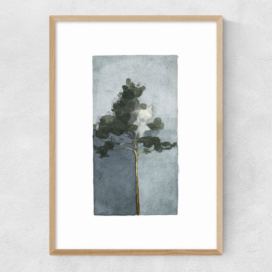 EAS-CCG-00053 Grade-C0 East End Prints The Pine III by Jörgen Hansson 40x50 Black Framed Art Print RRP £85.00